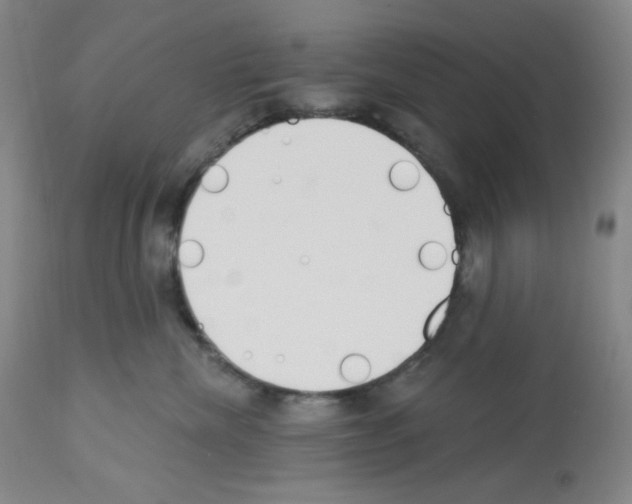 X0000112720476200910011136