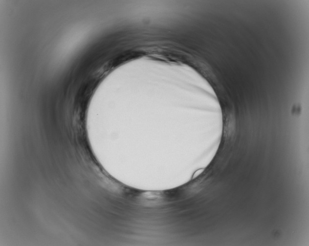 X0000112720477200910011136