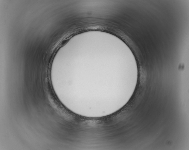 X0000112720482200910011136