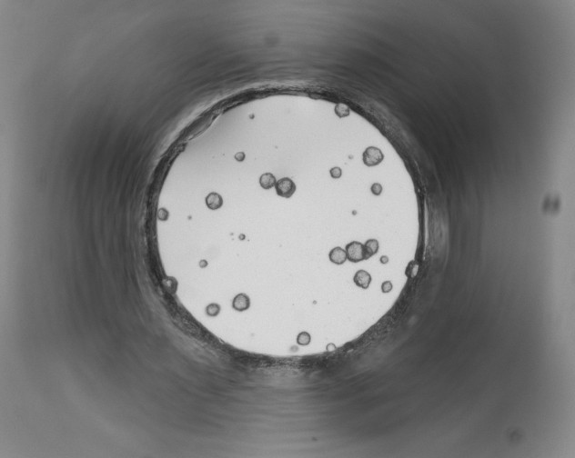 X0000112720483200910011136