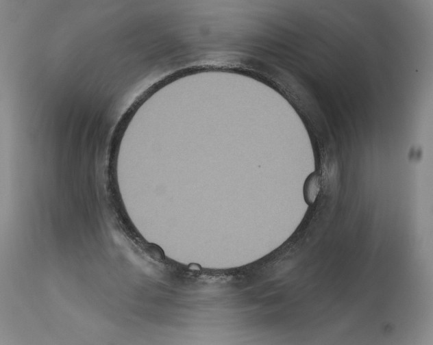 X0000112720484200910011136