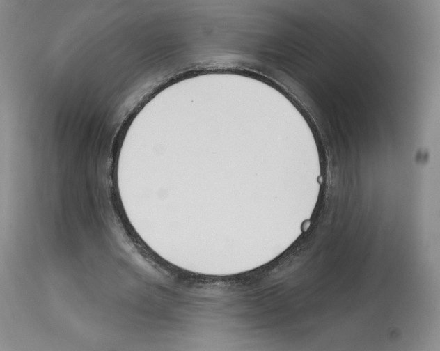 X0000112720485200910011136