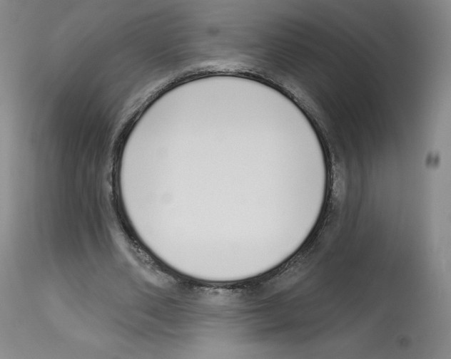 X0000112720486200910011136