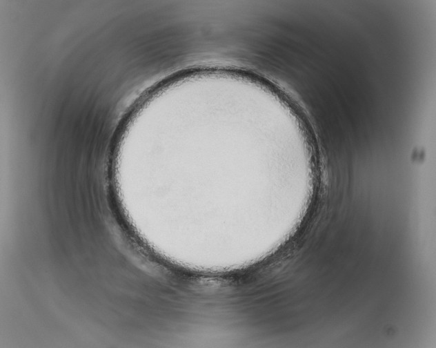 X0000112720487200910011136