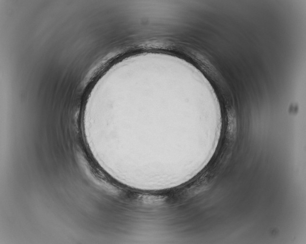 X0000112720491200910011135