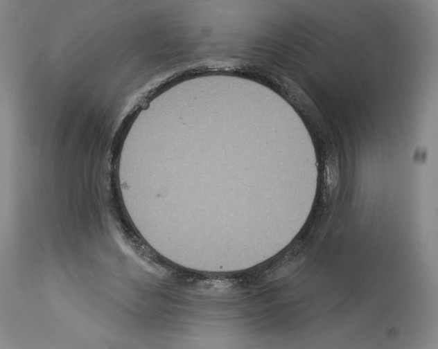 X0000112720492200910011135