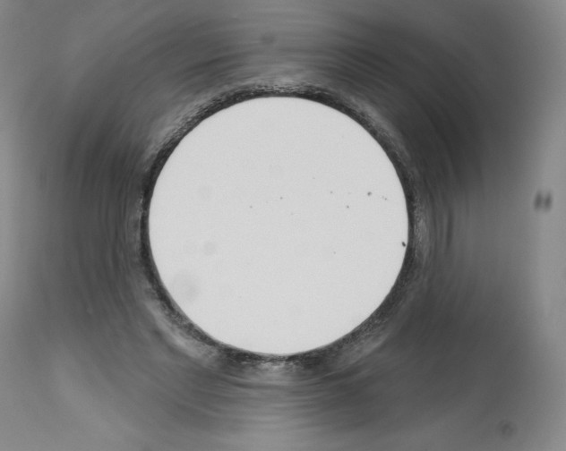 X0000112720493200910011135