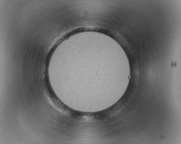 X0000112720496200910011135