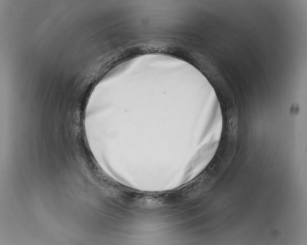 X0000112720498200910011135