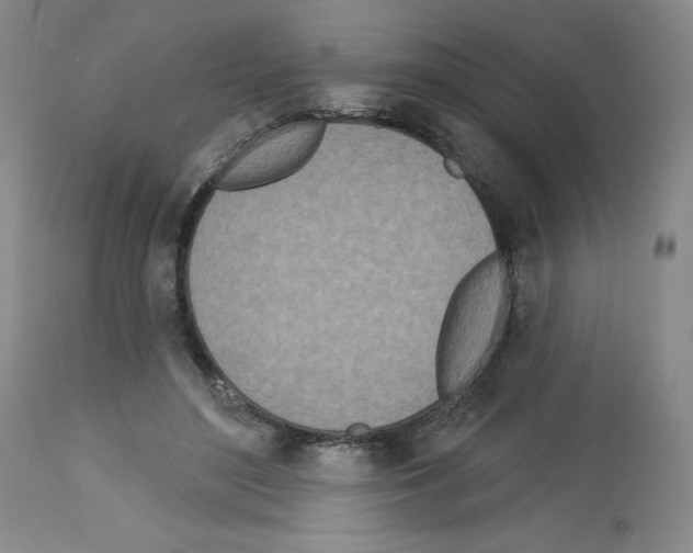 X0000112720500200910011135