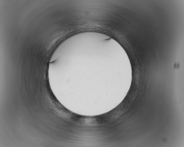 X0000112720501200910011135