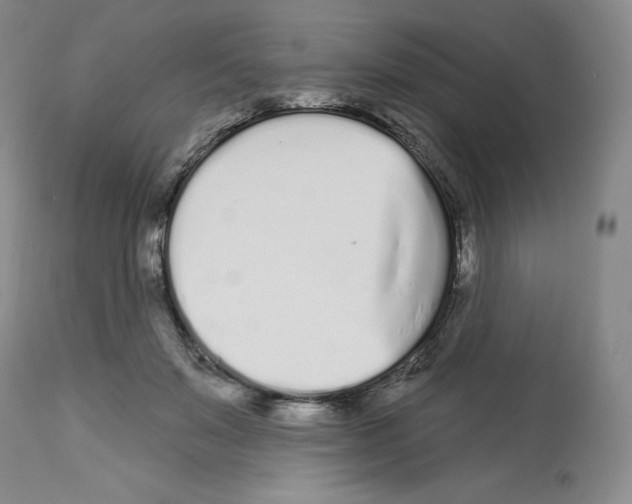 X0000112720503200910011135