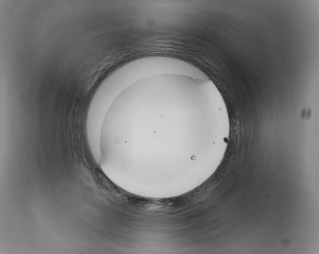 X0000112720504200910011135