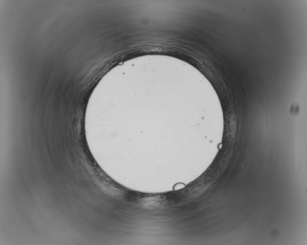 X0000112720505200910011135