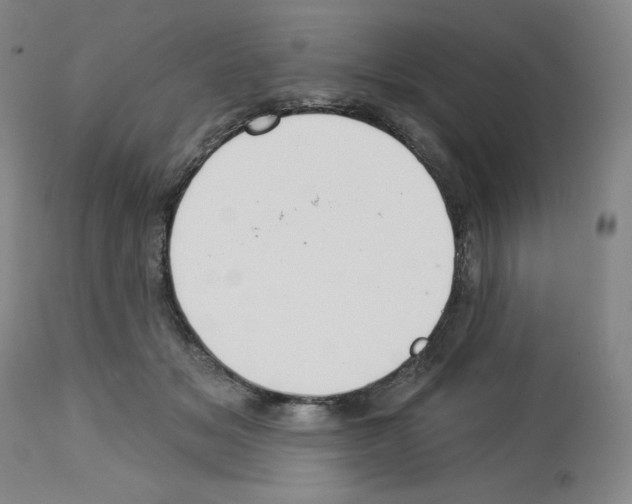 X0000112720509200910011135