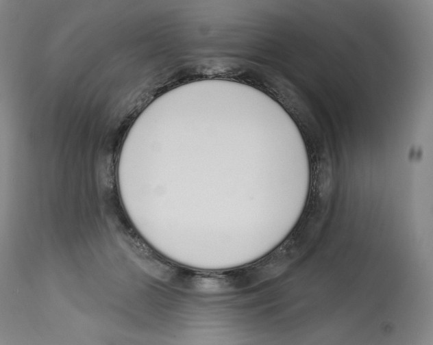 X0000112720510200910011135