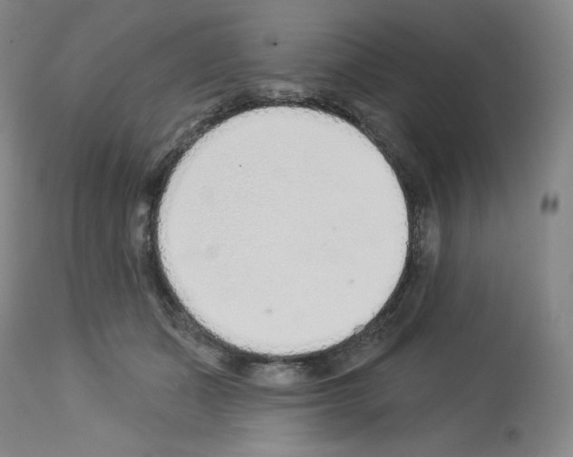 X0000112720511200910011135