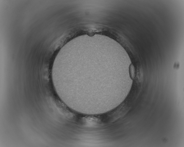 X0000112720512200910011135