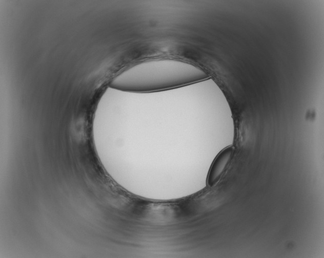 X0000112720520200910011135