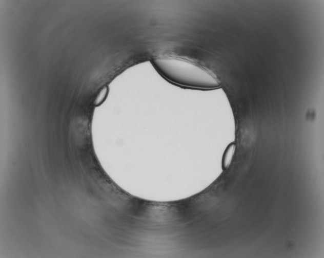 X0000112720521200910011135