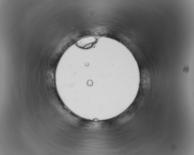 X0000112720523200910011135