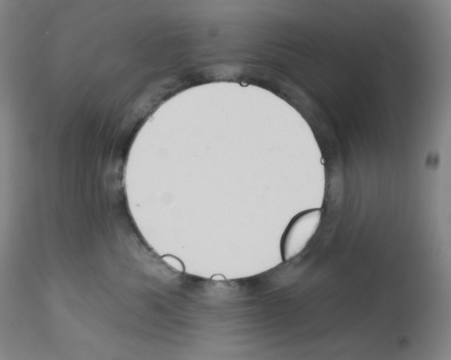 X0000112720525200910011135