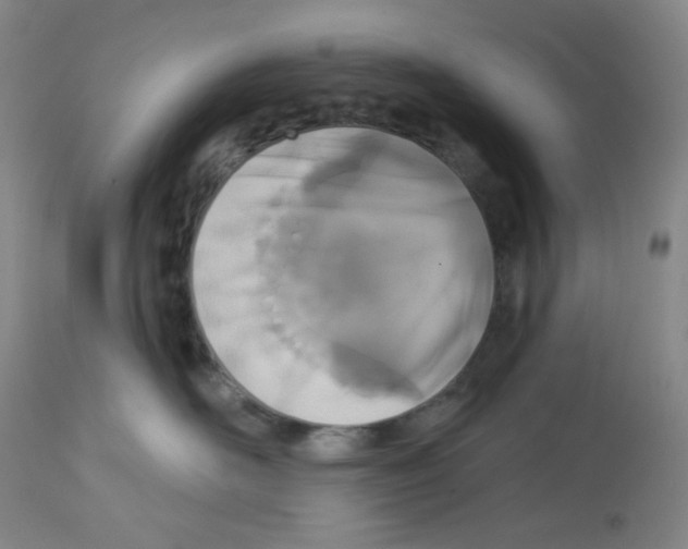 X0000112720526200910011135