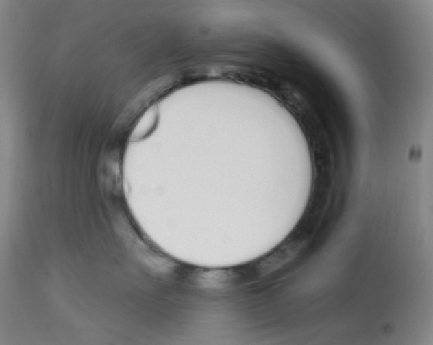 X0000112720527200910011135