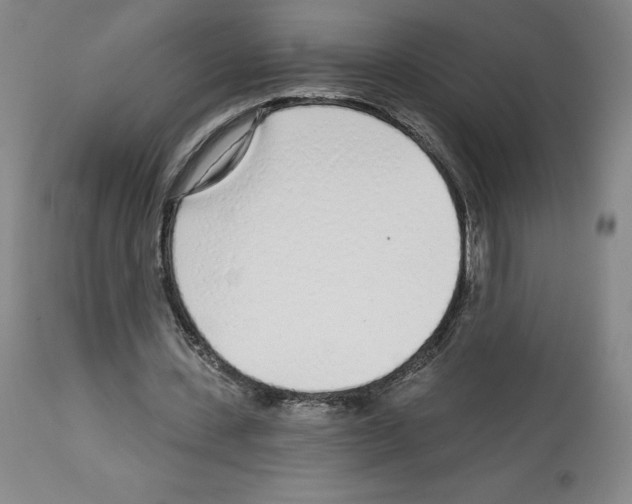 X0000112720531200910011134