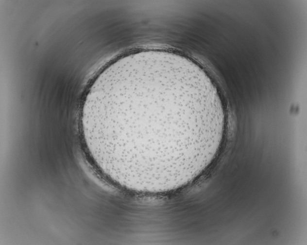 X0000112720533200910011134