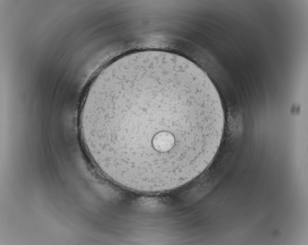 X0000112720534200910011134