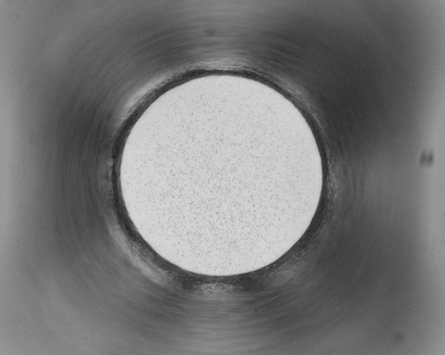 X0000112720535200910011134