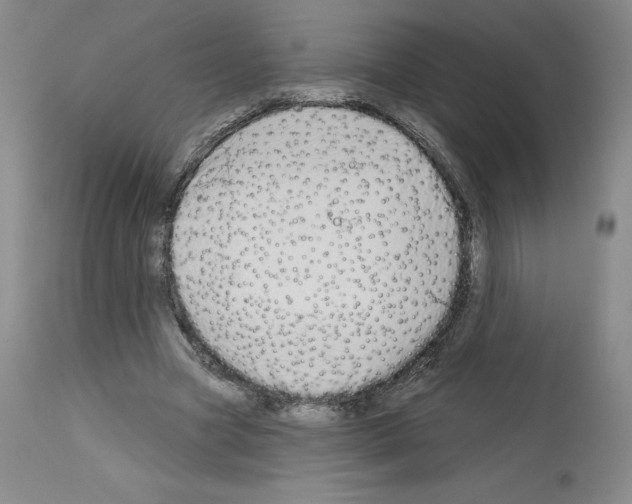 X0000112720537200910011134