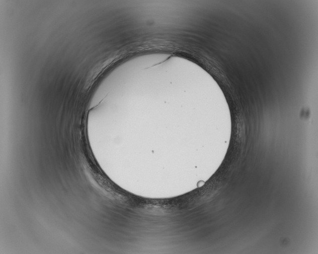 X0000112720538200910011134