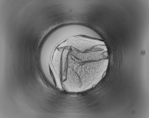 X0000112720540200910011134