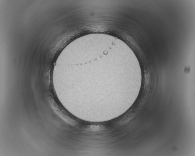 X0000112720541200910011134