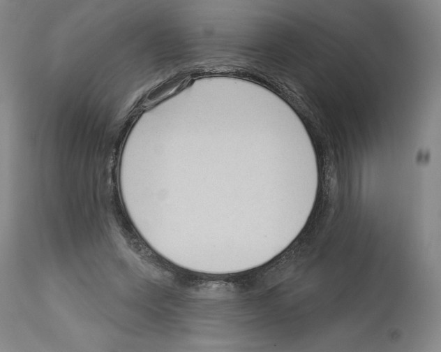 X0000112720543200910011134