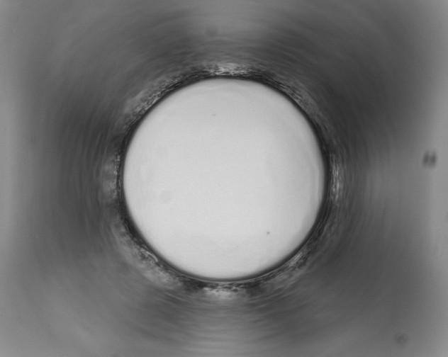 X0000112720545200910011134