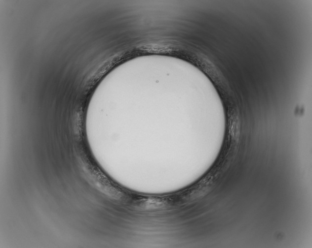 X0000112720549200910011134