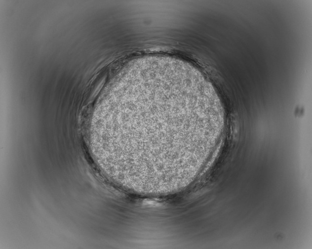 X0000112720550200910011134