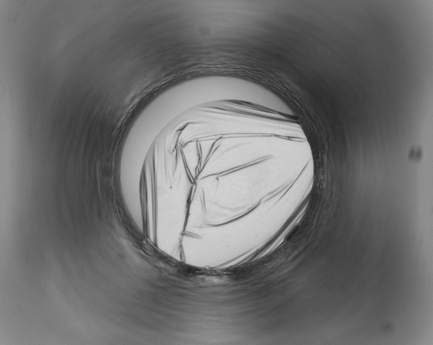 X0000112720552200910011134