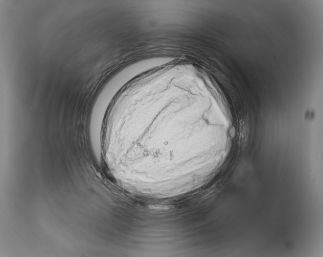 X0000112720553200910011134