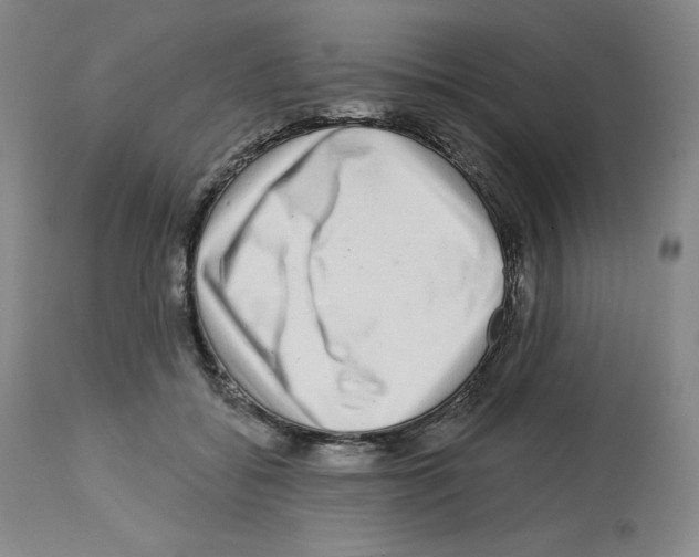 X0000112720556200910011134