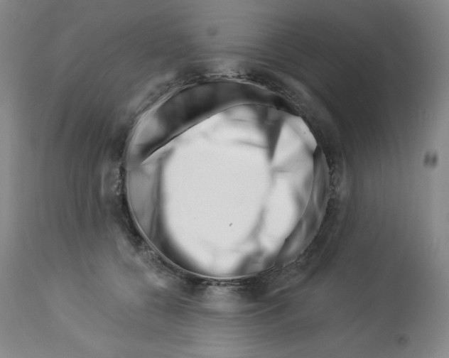 X0000112720560200910011135