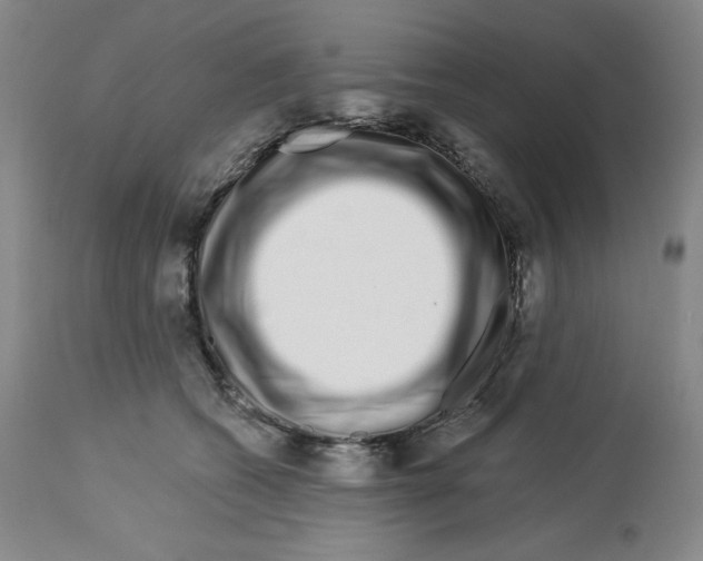 X0000112720562200910011135