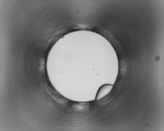 X0000112720563200910011135