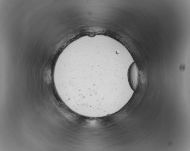 X0000112720564200910011135