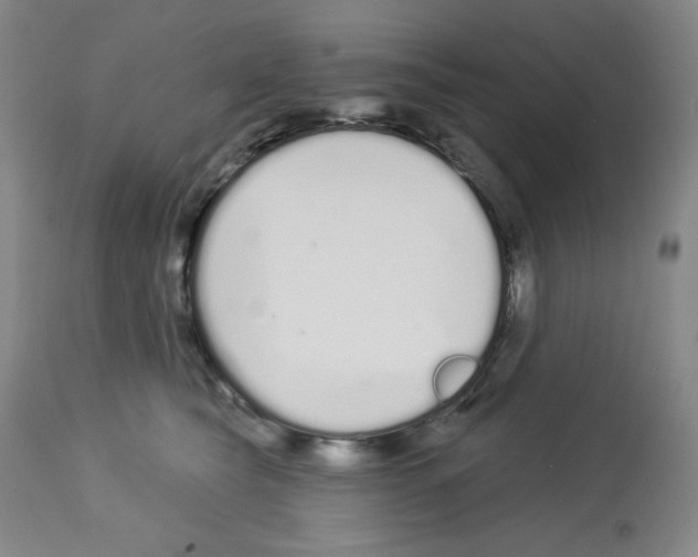 X0000112720565200910011135