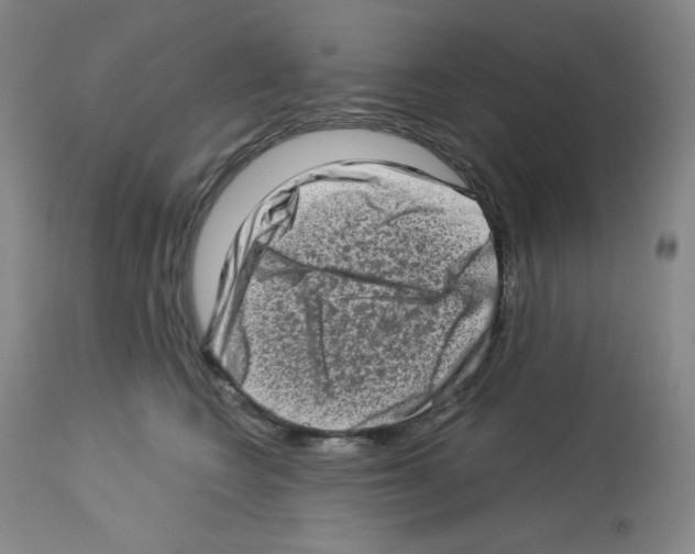 X0000112720566200910011135