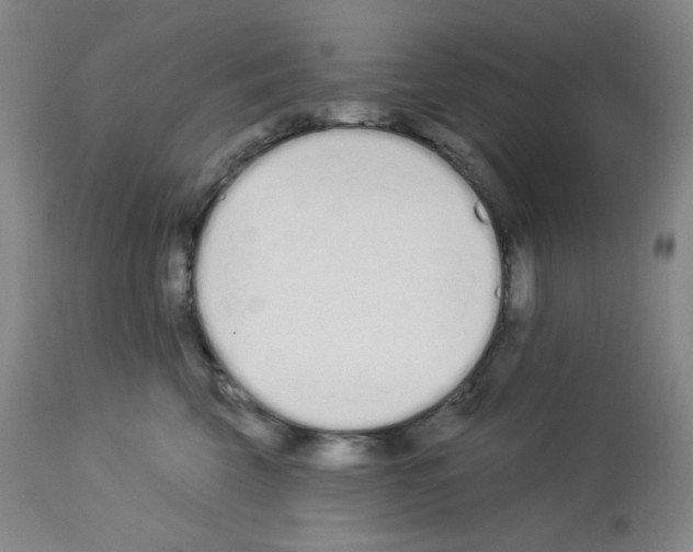 X0000112720569200910011135